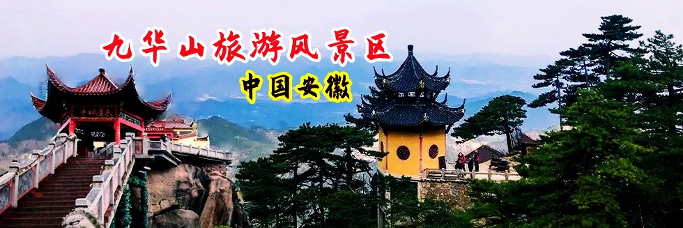 二男操一女人逼视频